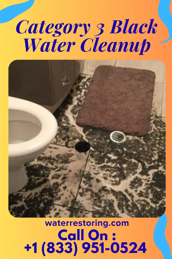 Category 3 Black Water Cleanup in Machias, WA