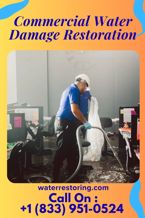 Commercial Water Damage Restoration in Machias, WA