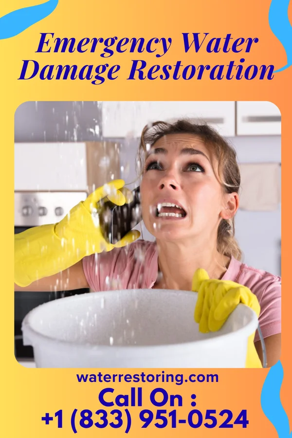 Emergency Water Damage Restoration in Machias, WA
