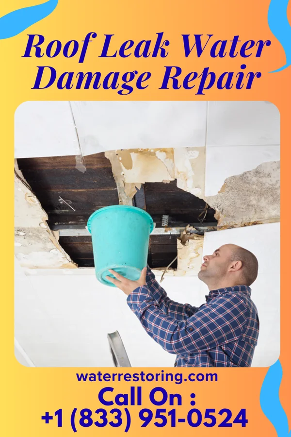 Roof Leak Water Damage Repair in Machias, WA