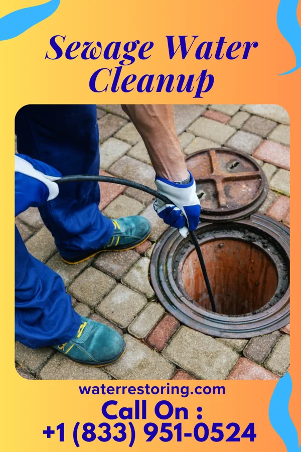 Sewage Water Cleanup in Machias, WA